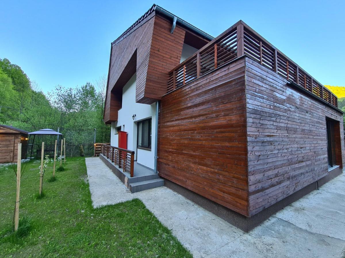 Pensiunea Floarea Soarelui Cazaci Exterior photo