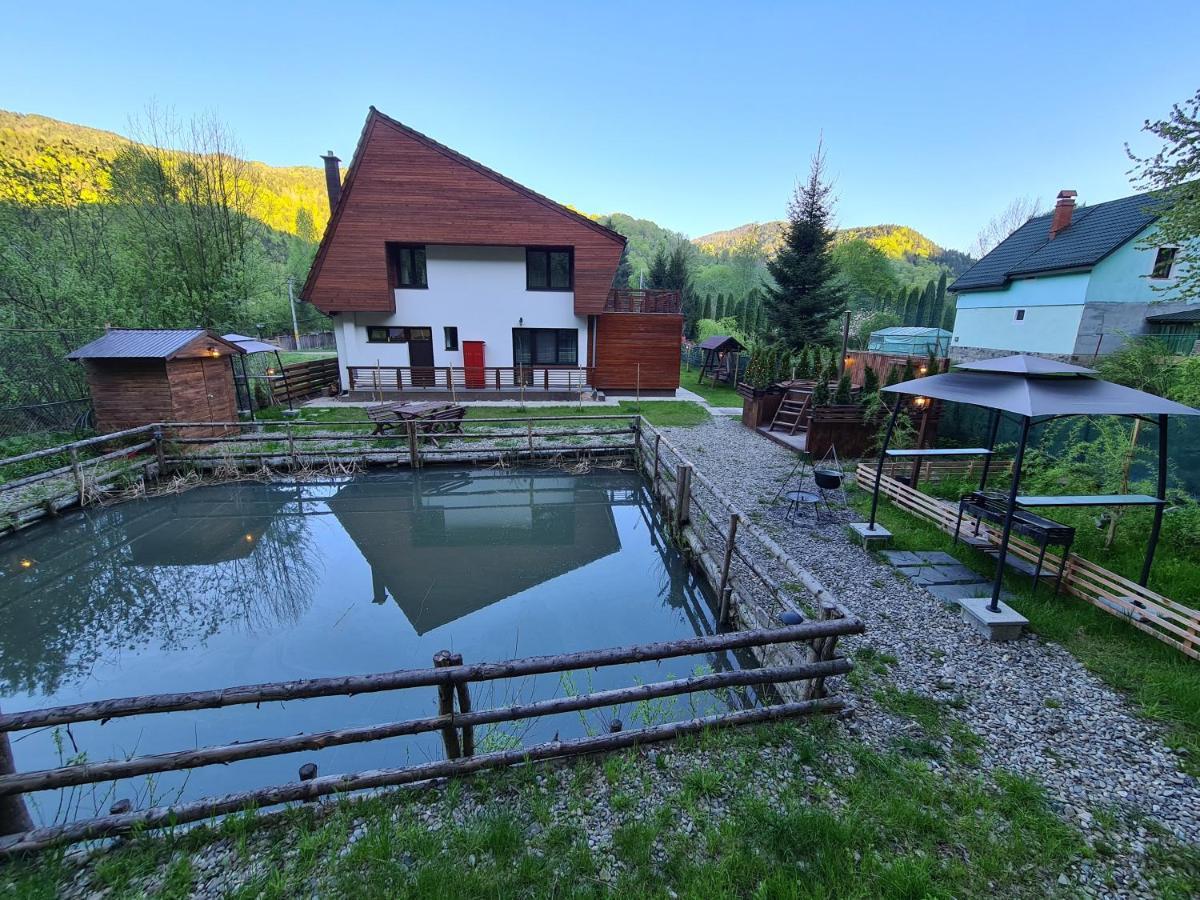 Pensiunea Floarea Soarelui Cazaci Exterior photo