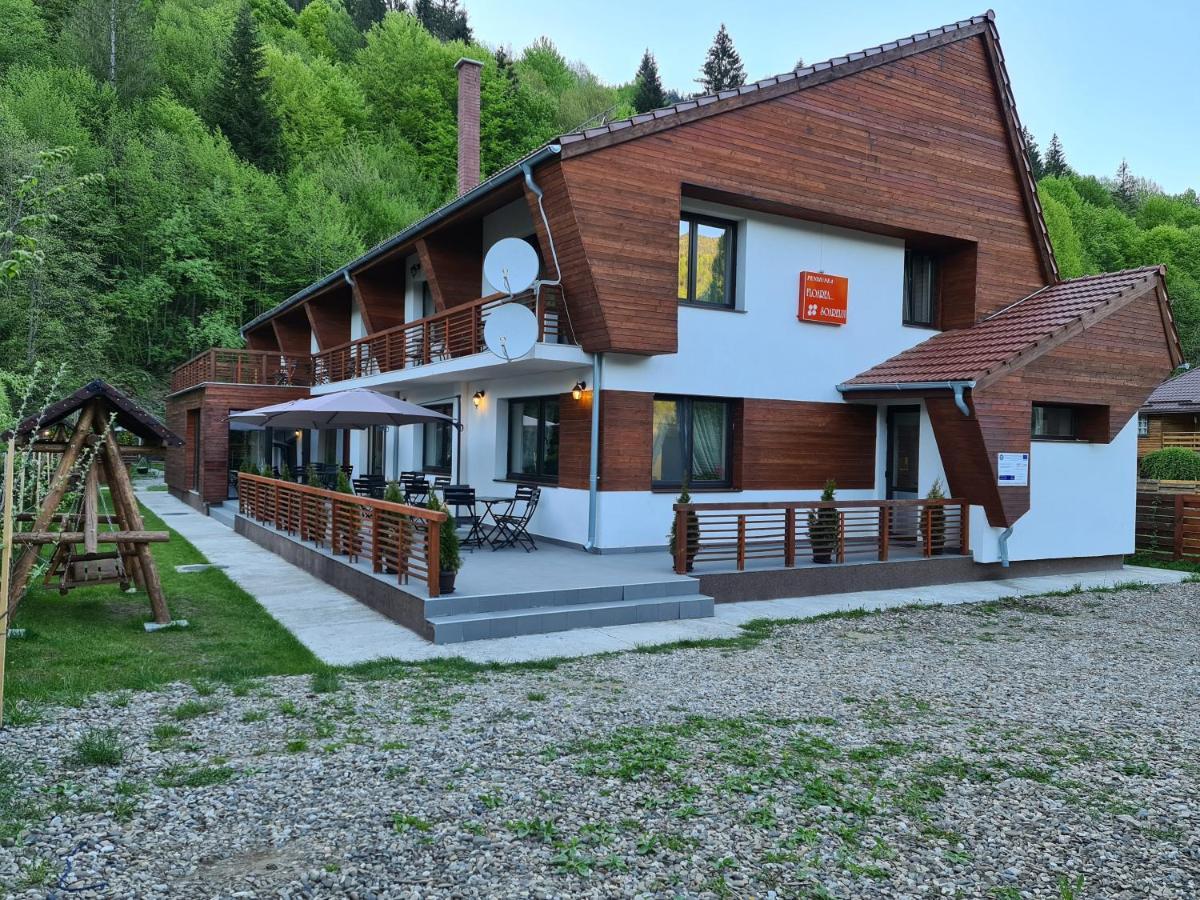 Pensiunea Floarea Soarelui Cazaci Exterior photo