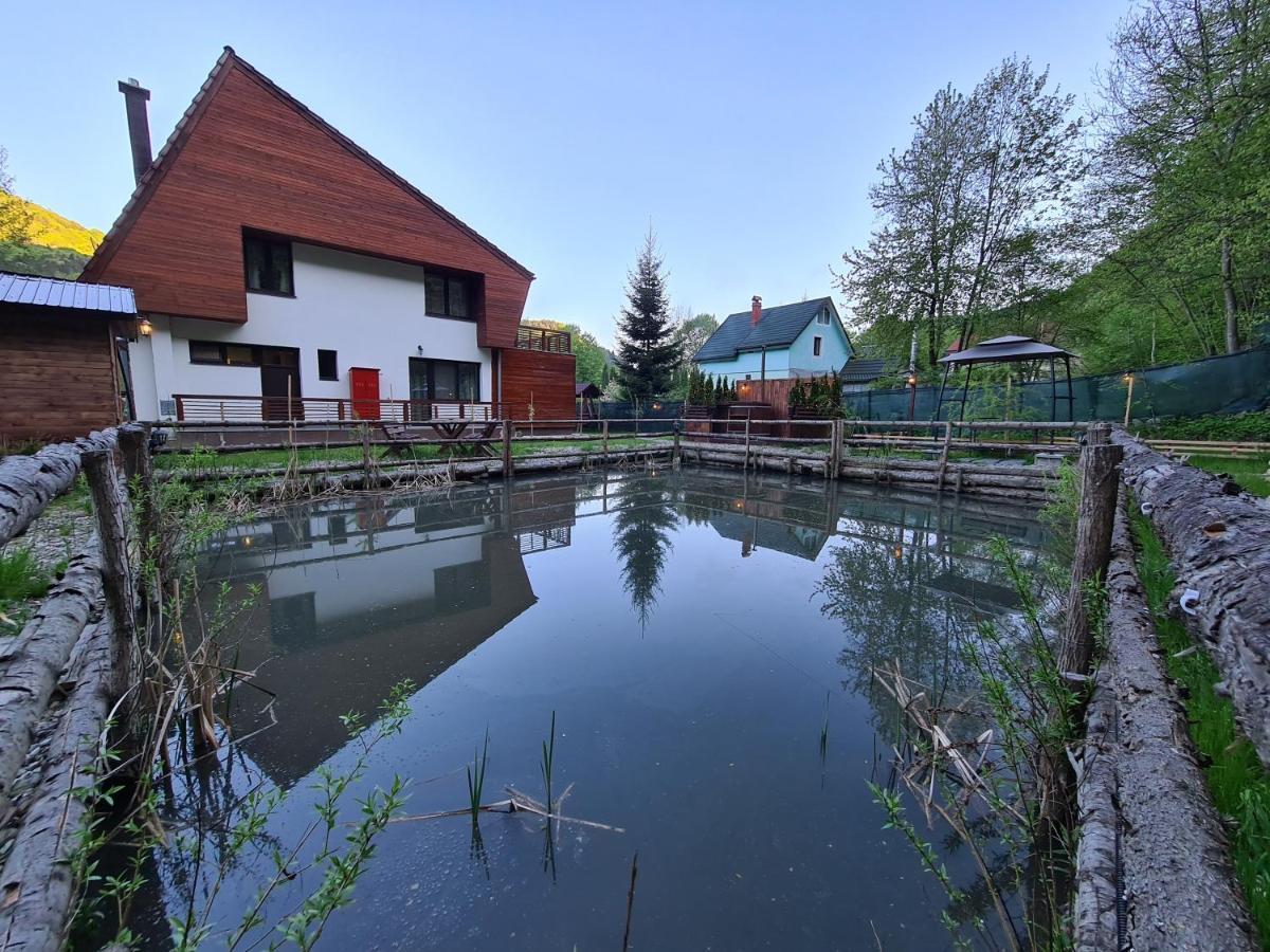 Pensiunea Floarea Soarelui Cazaci Exterior photo